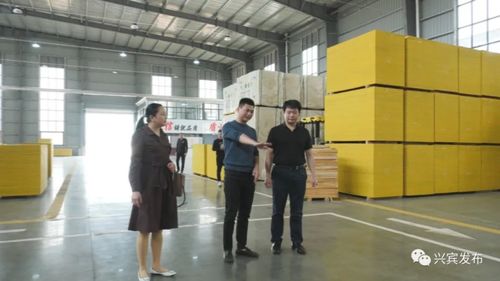 兴宾区招商考察团赴福建考察木材加工产业