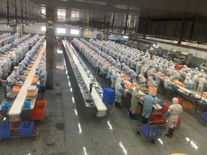 服务员工不停歇,你追求的美好生活,工会为你保障