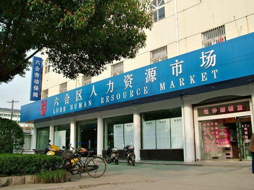 人力资源市场