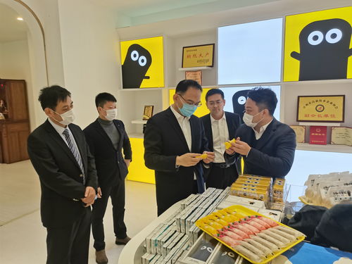 市领导调研重点商贸企业